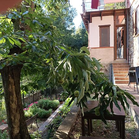 Casa Dei Faggi Apartment Tolfa Luaran gambar