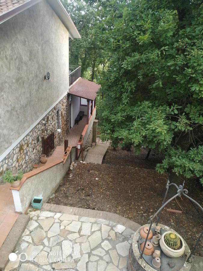 Casa Dei Faggi Apartment Tolfa Luaran gambar