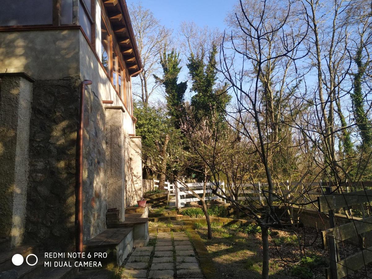 Casa Dei Faggi Apartment Tolfa Luaran gambar
