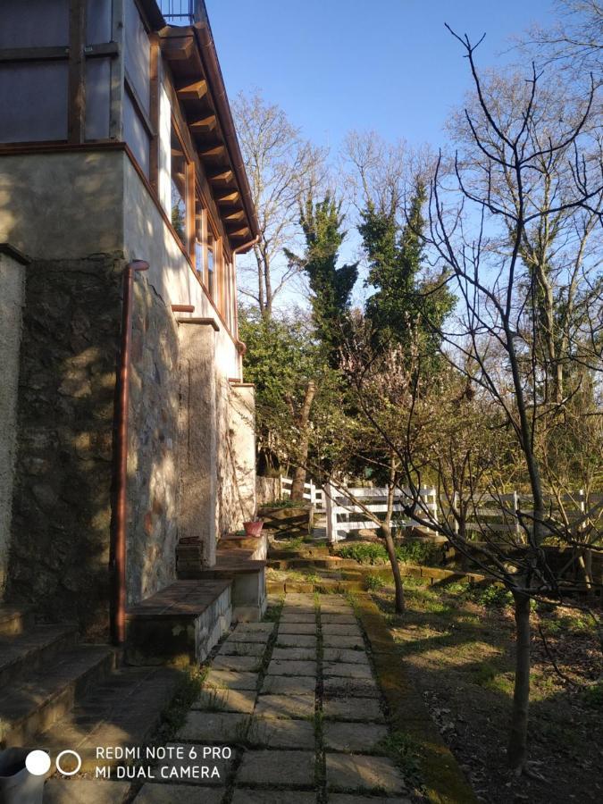 Casa Dei Faggi Apartment Tolfa Luaran gambar