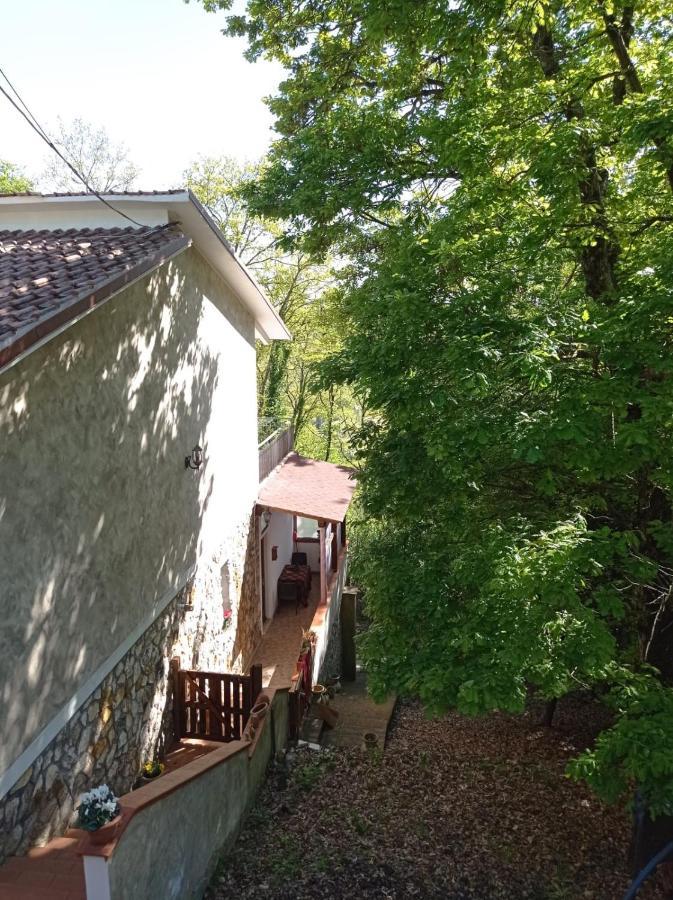 Casa Dei Faggi Apartment Tolfa Luaran gambar