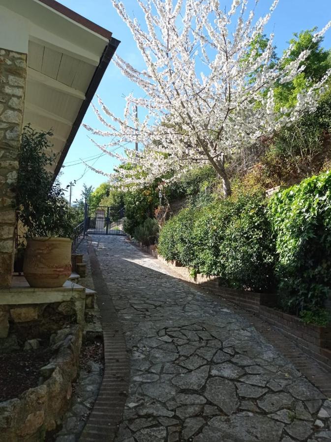 Casa Dei Faggi Apartment Tolfa Luaran gambar