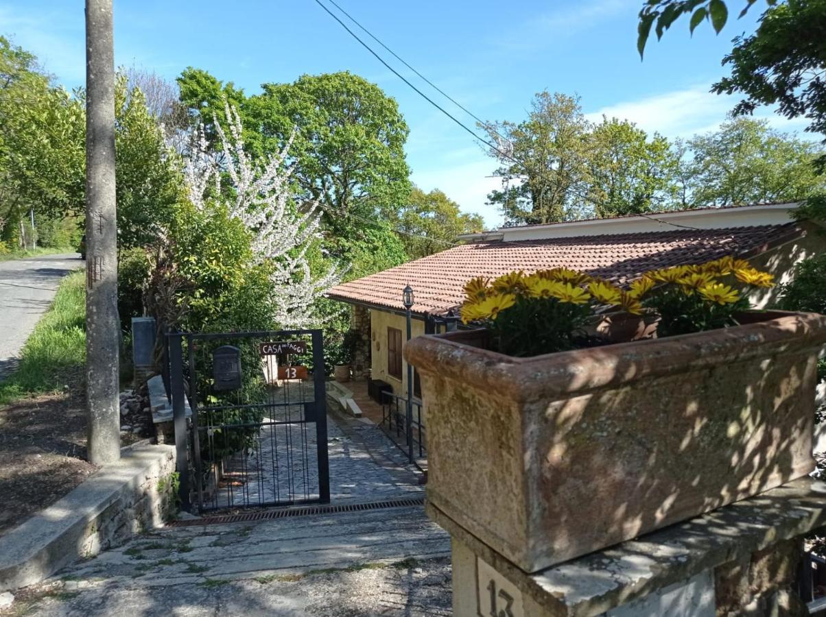 Casa Dei Faggi Apartment Tolfa Luaran gambar