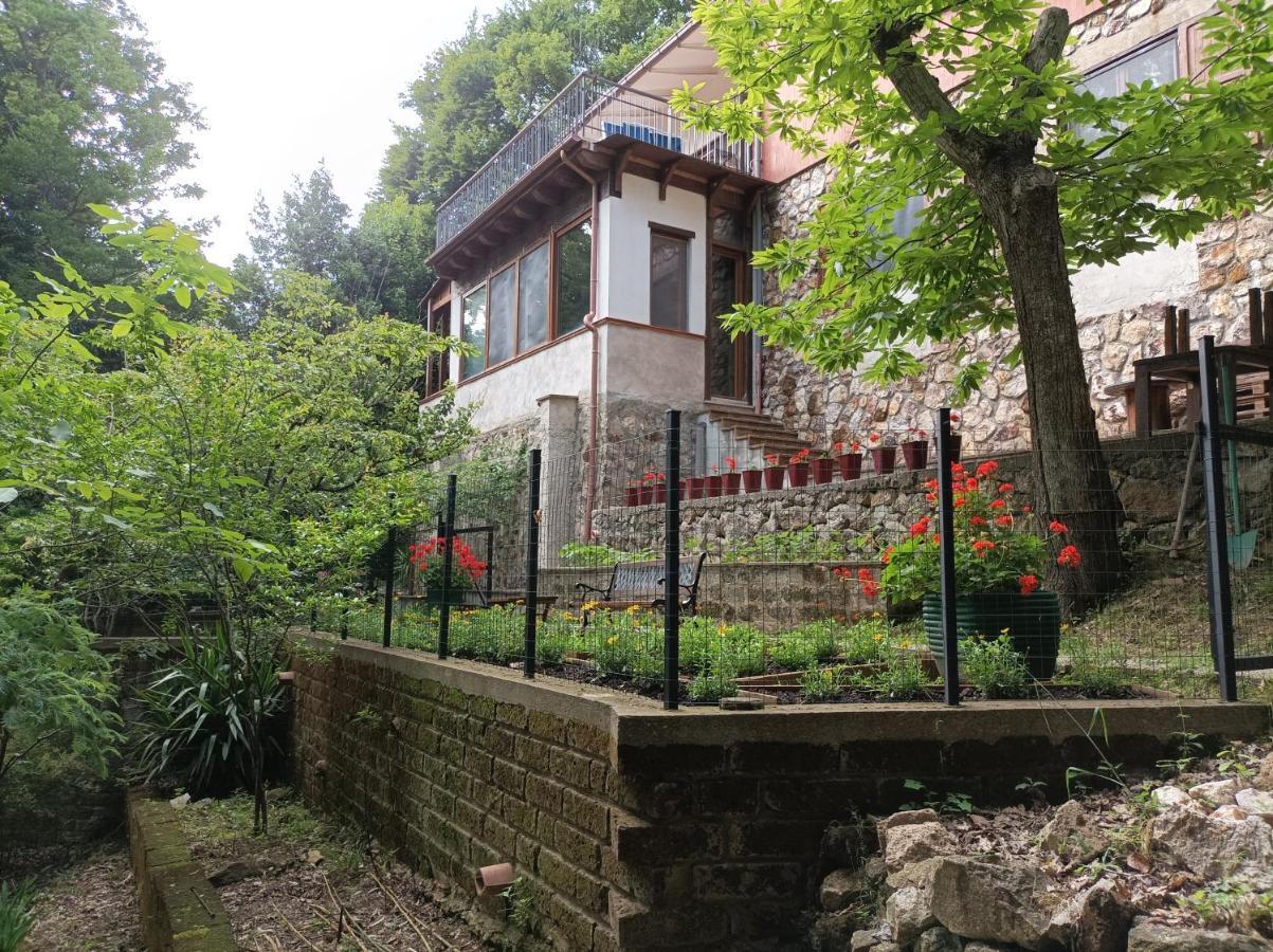 Casa Dei Faggi Apartment Tolfa Luaran gambar